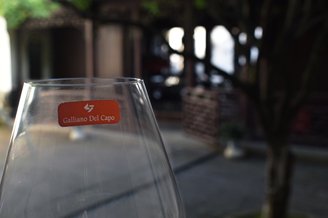 The Oriental Garden VII