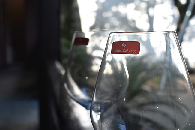 The Oriental Garden VIII